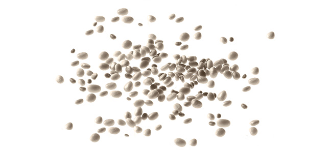 Beads of raw bio-based plastic