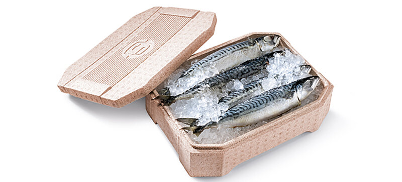 A brown bioplastic insulated box containing fresh fish and ice