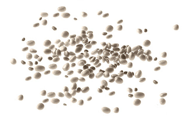Beads of raw bio-based plastic