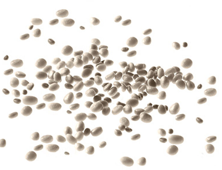 Beads of raw bio-based plastic